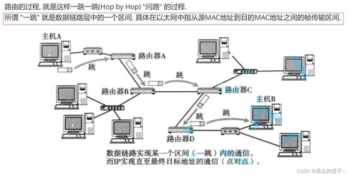 計(jì)算機(jī)網(wǎng)絡(luò)基礎(chǔ) 網(wǎng)絡(luò)層核心原理與關(guān)鍵設(shè)備的安裝維護(hù)指南