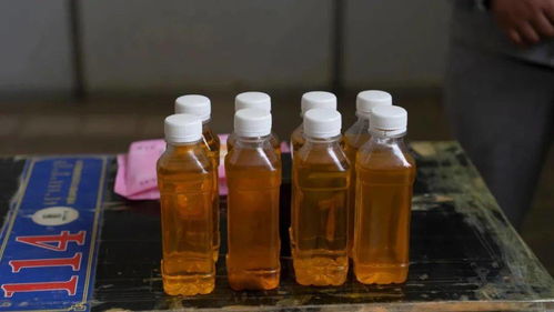 百年百藝薪火傳，文旅融合煥新篇——阿魯科爾沁旗非遺展示活動側(cè)記