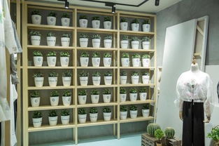 滬上文藝實驗室揭牌 以文化經紀人服務為引擎，開啟文創產業跨界探索新篇章